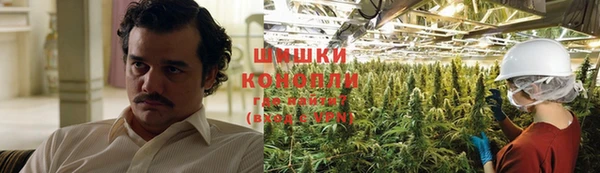 соль ск Алексин