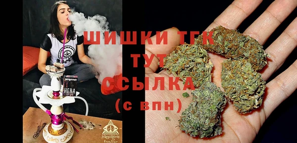 соль ск Алексин