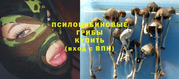 соль ск Алексин