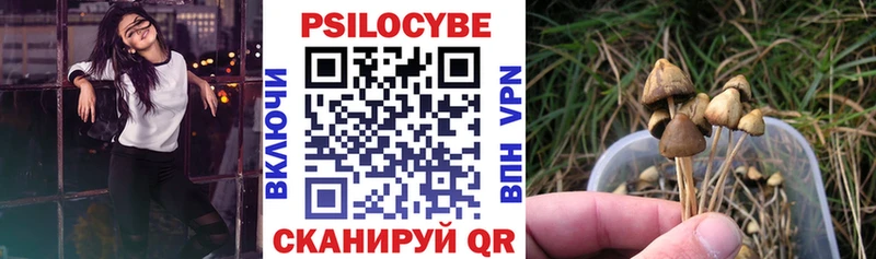 хочу   Сосновый Бор  Псилоцибиновые грибы MAGIC MUSHROOMS 