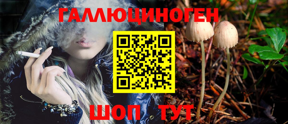Сосновый Бор  Псилоцибиновые грибы Magic Shrooms  Вход с VPN 